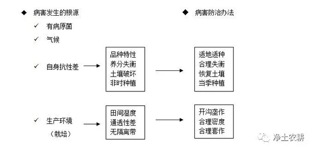 PG PG电子 APP什么是生态农业？如何发展生态农业？一篇文章讲明白(图11)