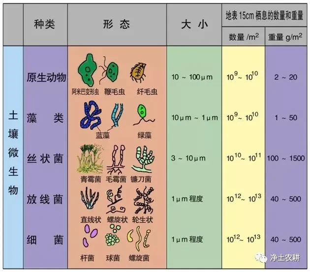 PG PG电子 APP什么是生态农业？如何发展生态农业？一篇文章讲明白(图8)